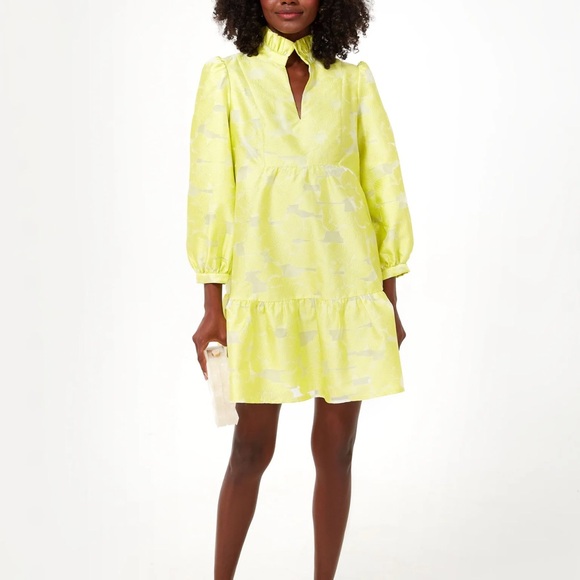 Tuckernuck palmerston Dress - Picture 3 of 3